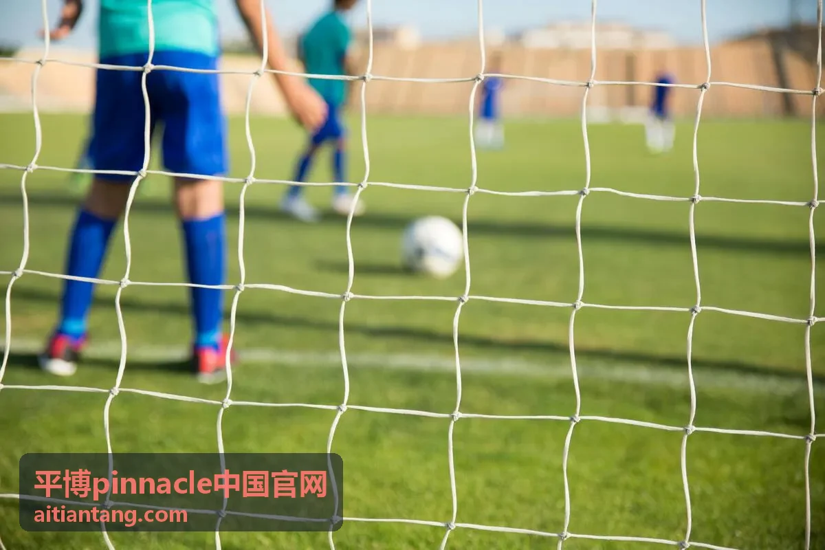 赔率基础阅读卡片 平博pinnacle中国官网