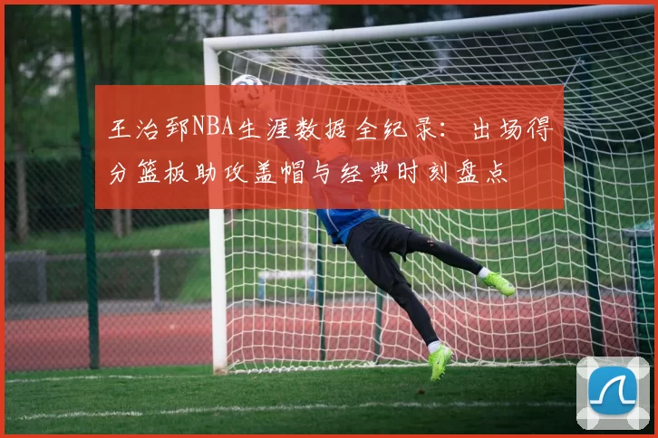 王治郅NBA生涯数据全纪录：出场得分篮板助攻盖帽与经典时刻盘点
