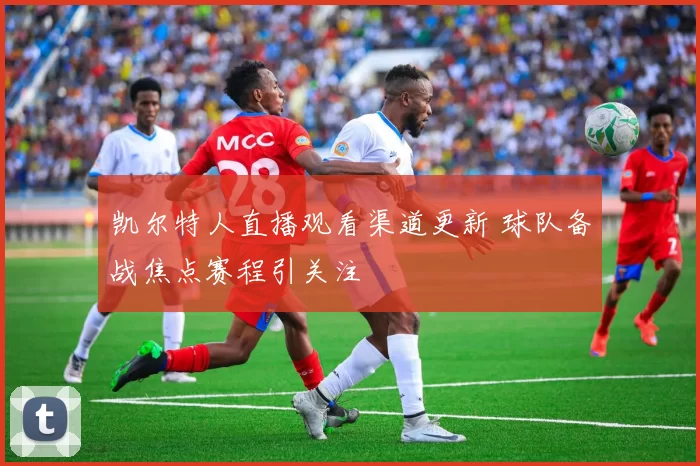 凯尔特人直播观看渠道更新 球队备战焦点赛程引关注