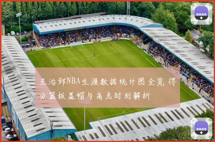 王治郅NBA生涯数据统计图全览 得分篮板盖帽与高光时刻解析