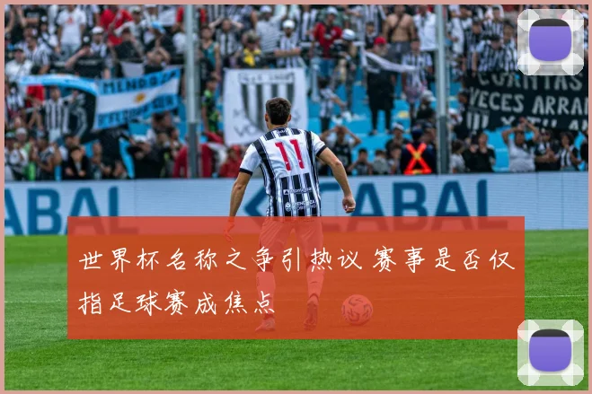 世界杯名称之争引热议 赛事是否仅指足球赛成焦点