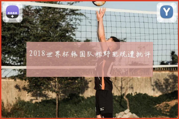 2018世界杯韩国队粗野犯规遭批评